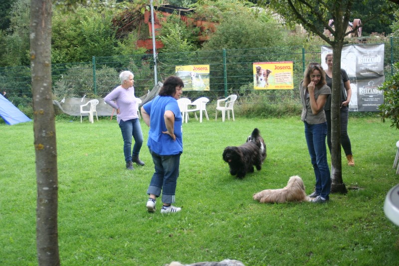 ../Images/Bild 029.jpg